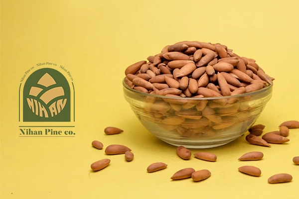 جلغوزه نیهان پاین nihan pine nuts